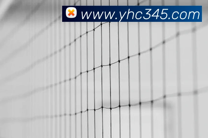 奖项证书